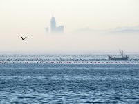 霧海遮城 宛若仙境