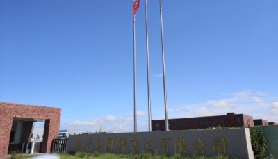 青島國軒：助力新能源車駛入“快車道”