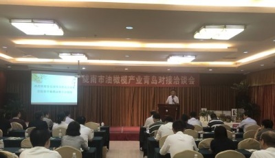 隴南市油橄欖產業青島對接洽談召開