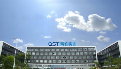 青軟實訓：推動教育與產業無縫銜接