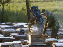  釀造甜蜜 傳遞芳香