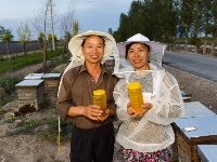  釀造甜蜜 傳遞芳香