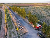  釀造甜蜜 傳遞芳香