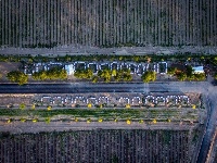  釀造甜蜜 傳遞芳香