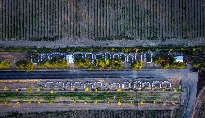  釀造甜蜜 傳遞芳香