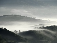 寧夏彭陽：最美旱作梯田 云海宛如仙境