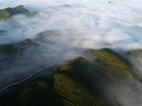 寧夏彭陽：最美旱作梯田 云海宛如仙境