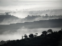 寧夏彭陽：最美旱作梯田 云海宛如仙境