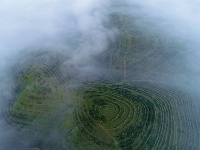 寧夏彭陽：最美旱作梯田 云海宛如仙境