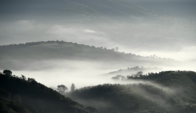 寧夏彭陽：最美旱作梯田 云海宛如仙境