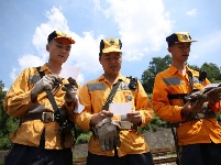 【高溫下的勞動者】  伏天里的90后調車工