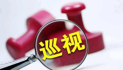 中央巡視首次出現副省級城市“體檢報告” 發現多個共性問題