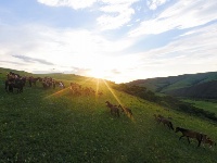 錫林郭勒 塞外桃源