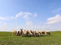 錫林郭勒 塞外桃源