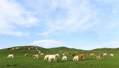 錫林郭勒 塞外桃源