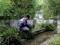 陜西寧陜：把“綠水青山”變成貧困戶的“金山銀山”