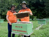 陜西寧陜：把“綠水青山”變成貧困戶的“金山銀山”