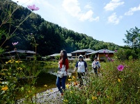 陜西寧陜：把“綠水青山”變成貧困戶的“金山銀山”