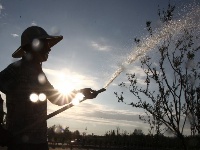 處暑時節農事忙