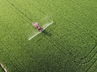 處暑時節農事忙