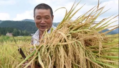 明起這些新規正式實施 將如何影響你的生活？