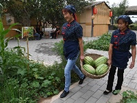 甘肃：乡村旅游让农民享受“绿色收益”
