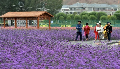 甘肅：鄉村旅游讓農民享受“綠色收益”