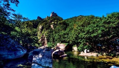 8月青島新房成交12260套  環(huán)比7月少賣(mài)房1777套