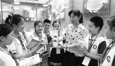 小学里的“高端”海洋教育