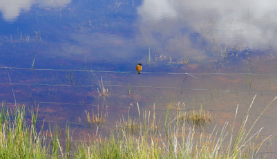 西藏日喀則美景如畫