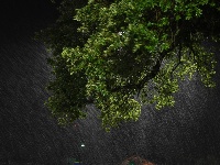 【一周看天下】