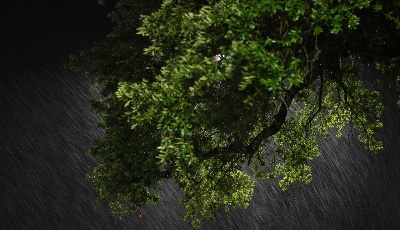 【一周看天下】