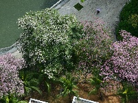 【一周看天下】