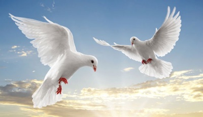 習近平向2018年國際和平日紀念活動致賀信