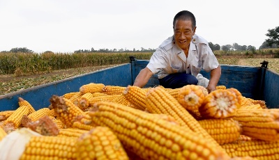 習近平向全國億萬農民祝賀中國農民豐收節