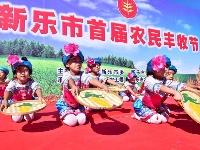 組圖：喜慶豐收