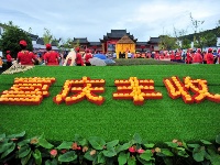 組圖：喜慶豐收