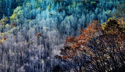 秋染沁源“好地方” 滿眼青山似“金山”