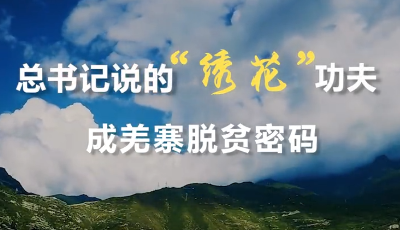 總書記說的“繡花”功夫成羌寨脫貧密碼
