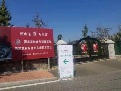 第7届青岛茶博会强势来袭 崂山茶将组团参展
