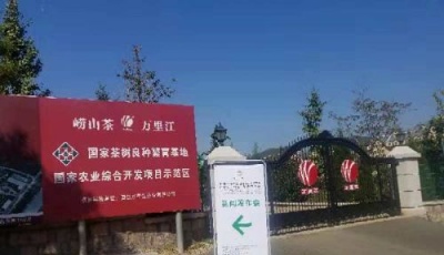 第7屆青島茶博會(huì)強(qiáng)勢(shì)來(lái)襲 嶗山茶將組團(tuán)參展