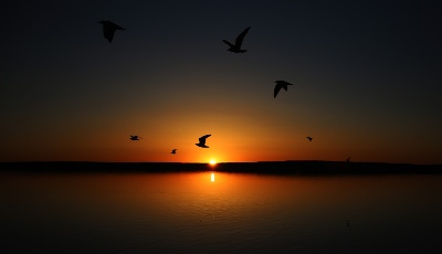 居延海金秋美景