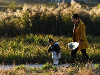 組圖：霜降秋深景宜人