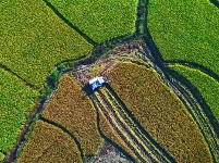 組圖：霜降秋深景宜人