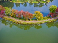 組圖：霜降秋深景宜人