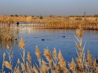 組圖：霜降秋深景宜人