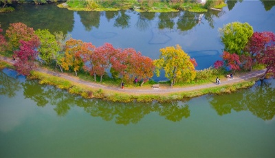 組圖：霜降秋深景宜人