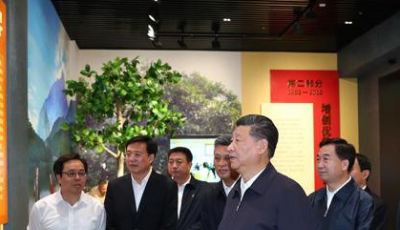 習(xí)近平再赴廣東考察的幾重“心意”
