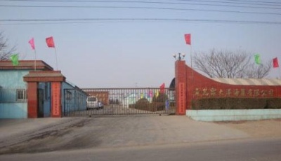 聚大洋藻業：科技創新贏得市場