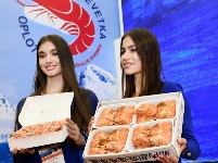 中国渔博会青岛开幕 51个国家和地区的1500多家企业参展